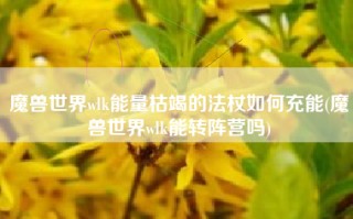魔兽世界wlk能量枯竭的法杖如何充能(魔兽世界wlk能转阵营吗)