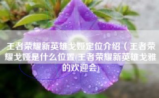王者荣耀新英雄戈娅定位介绍（王者荣耀戈娅是什么位置(王者荣耀新英雄戈雅的欢迎会)