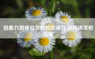 因暴力游戏引发的枪击案件,游戏诱发枪击案