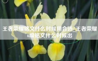 王者荣耀铭文什么时候用合适_王者荣耀6级铭文什么时候出