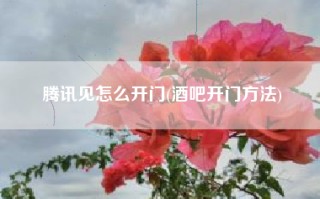腾讯见怎么开门(酒吧开门方法)