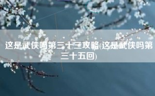 这是武侠吗第三十三攻略(这是武侠吗第三十五回)