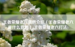王者荣耀老六意思介绍（王者荣耀老六是什么意思）(王者荣耀老六打法)