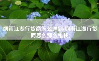 烟雨江湖行货商怎么遇到(烟雨江湖行货商怎么那么难找)
