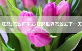 狂怒2怎么进不去(狂怒世界怎么去下一关)