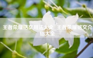 王者荣耀铭文用法大全_王者荣耀铭文介绍大全