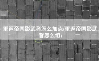重返帝国影武者怎么加点(重返帝国影武者怎么组)