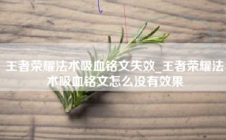 王者荣耀法术吸血铭文失效_王者荣耀法术吸血铭文怎么没有效果