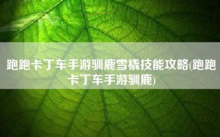 跑跑卡丁车手游驯鹿雪橇技能攻略(跑跑卡丁车手游驯鹿)