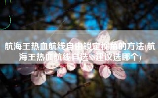 航海王热血航线自由锁定视角的方法(航海王热血航线自选SS建议选哪个)