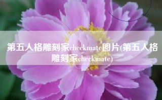 第五人格雕刻家checkmate图片(第五人格雕刻家checkmate)