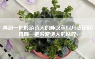 再刷一把吟游诗人的咏叹获取方法详解(再刷一把吟游诗人的咏叹)
