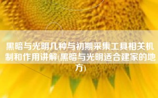 黑暗与光明几种与初期采集工具相关机制和作用讲解(黑暗与光明适合建家的地方)