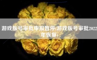 游戏版号审批申报暂停(游戏版号审批2022年恢复)