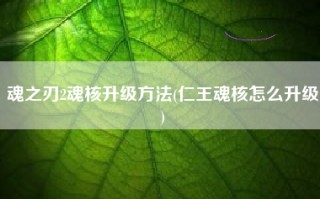 魂之刃2魂核升级方法(仁王魂核怎么升级)