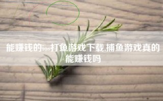 能赚钱的ios打鱼游戏下载,捕鱼游戏真的能赚钱吗