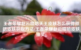 王者荣耀赵云嘻哈天王皮肤怎么获得微信皮肤获取方法(王者荣耀赵云嘻哈皮肤抽奖)