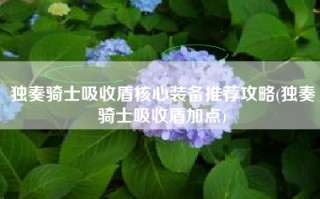 独奏骑士吸收盾核心装备推荐攻略(独奏骑士吸收盾加点)
