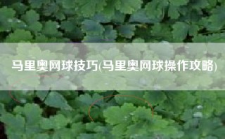 马里奥网球技巧(马里奥网球操作攻略)