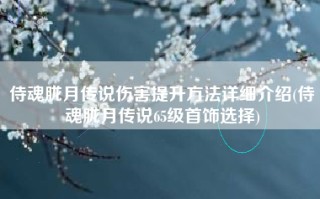 侍魂胧月传说伤害提升方法详细介绍(侍魂胧月传说65级首饰选择)