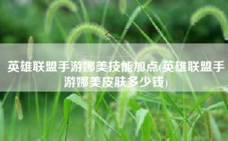 英雄联盟手游娜美技能加点(英雄联盟手游娜美皮肤多少钱)