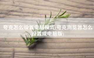 夸克怎么设置电脑模式(夸克浏览器怎么设置成电脑版)