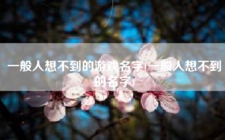 一般人想不到的游戏名字(一般人想不到的名字)