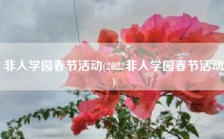 非人学园春节活动(2022非人学园春节活动)