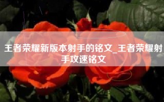 王者荣耀新版本射手的铭文_王者荣耀射手攻速铭文