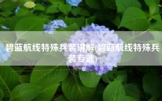 碧蓝航线特殊兵装讲解(碧蓝航线特殊兵装专武)