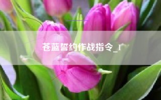 苍蓝誓约作战指令_1