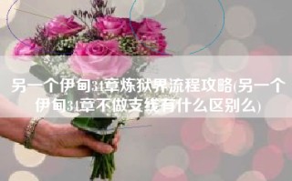 另一个伊甸34章炼狱界流程攻略(另一个伊甸34章不做支线有什么区别么)