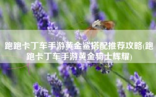 跑跑卡丁车手游黄金鲨搭配推荐攻略(跑跑卡丁车手游黄金骑士辉耀)