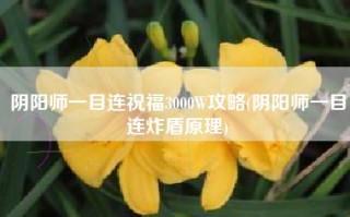 阴阳师一目连祝福3000W攻略(阴阳师一目连炸盾原理)