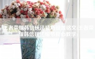 王者荣耀韩信玩法技巧设置铭文(王者荣耀韩信玩法细节良心教学)