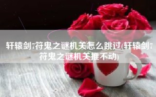 轩辕剑7符鬼之谜机关怎么跳过(轩辕剑7符鬼之谜机关推不动)