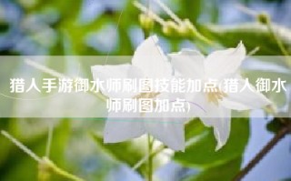 猎人手游御水师刷图技能加点(猎人御水师刷图加点)