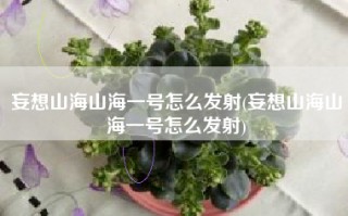 妄想山海山海一号怎么发射(妄想山海山海一号怎么发射)
