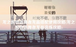 龙之国物语舞者龙晶搭配使用攻略(龙之国物语舞者龙晶洗练攻略)