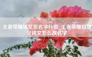 王者荣耀铭文页名字分类_王者荣耀自定义铭文怎么改名字