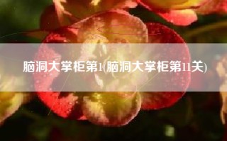 脑洞大掌柜第1(脑洞大掌柜第11关)