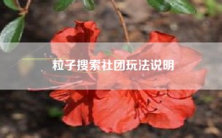 粒子搜索社团玩法说明