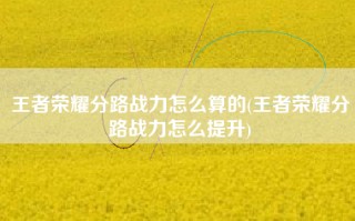 王者荣耀分路战力怎么算的(王者荣耀分路战力怎么提升)