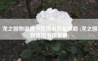 龙之国物语图书馆图书获取攻略 (龙之国物语图书馆答题)
