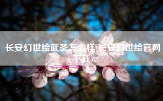 长安幻世绘武圣怎么样(长安幻世绘官网下载)