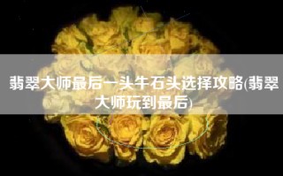 翡翠大师最后一头牛石头选择攻略(翡翠大师玩到最后)