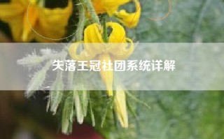 失落王冠社团系统详解
