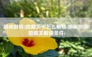 胡闹厨房2隐藏关卡怎么解锁(胡闹厨房2隐藏关解锁条件)