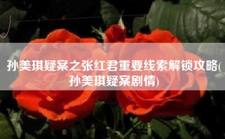 孙美琪疑案之张红君重要线索解锁攻略(孙美琪疑案剧情)