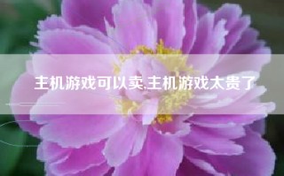 主机游戏可以卖,主机游戏太贵了